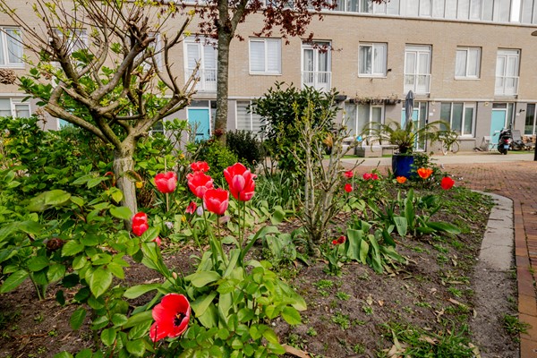 Medium property photo - Houtzagerssingel 120, 2512 XJ Den Haag